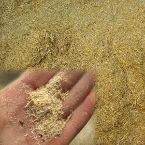 绿巨人视频最新官网 绿巨人视频最新官网