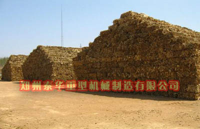 玉米秸秆绿巨人视频APP下载官网最新